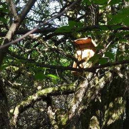 Dolina-völgy Albertirsa - Egyéb