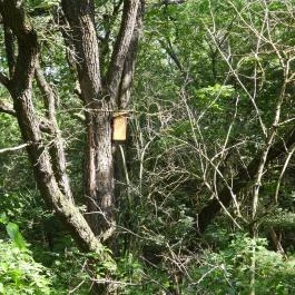 Dolina-völgy Albertirsa - Külső kép