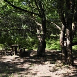 Dolina-völgy Albertirsa - Egyéb