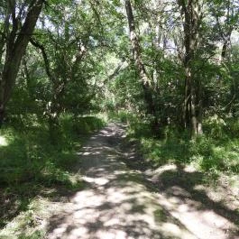 Dolina-völgy Albertirsa - Külső kép