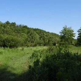 Dolina-völgy Albertirsa - Külső kép