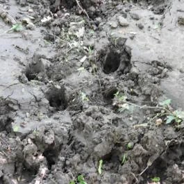 Dolina-völgy Albertirsa - Egyéb