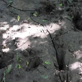 Dolina-völgy Albertirsa - Egyéb