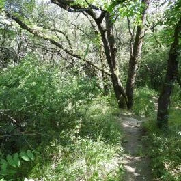 Dolina-völgy Albertirsa - Külső kép