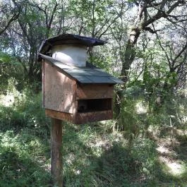 Dolina-völgy Albertirsa - Egyéb