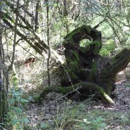 Dolina-völgy Albertirsa - Egyéb