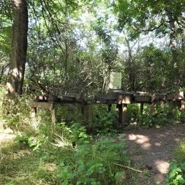 Dolina-völgy Albertirsa - Egyéb