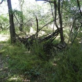 Dolina-völgy Albertirsa - Külső kép