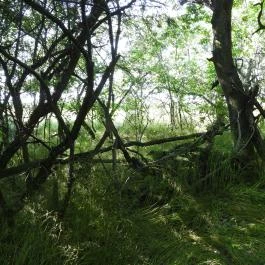 Dolina-völgy Albertirsa - Külső kép