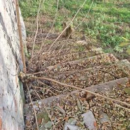 Domahidy-kúria, Kisnamény - Egyéb