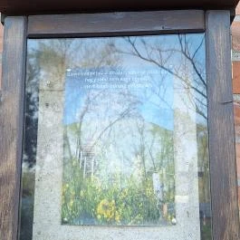 Domaszéki Zöldfás templom Domaszék - Egyéb