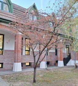 Domaszéki Zöldfás templom