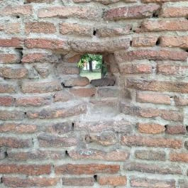 Domonkos-rendi templomrom, Tiszaderzs - Egyéb