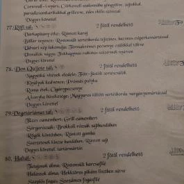 Don Quiote Középkori Étterem Lenti - Étlap/itallap
