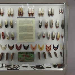 Dr. Batthyány-Strattmann László Múzeum Körmend - Egyéb