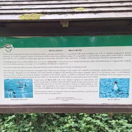 Dráva gát, Vízvár - Egyéb