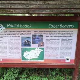 Dráva gát, Vízvár - Egyéb