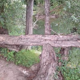 Dráva gát, Vízvár - Egyéb