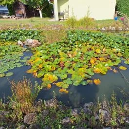 Dráva Menti Szálláshely Vízvár - Medence/kert