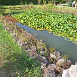 Dráva Menti Szálláshely Vízvár - Medence/kert