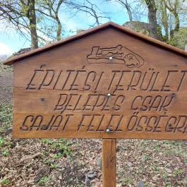 Drégely vára Drégelypalánk - Egyéb