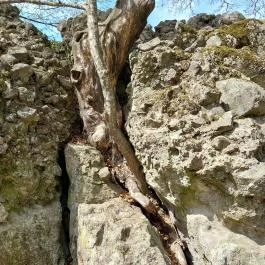 Drégely vára Drégelypalánk - Külső kép