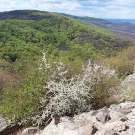 Drégely vára Drégelypalánk - Egyéb