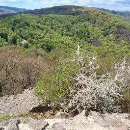 Drégely vára Drégelypalánk - Egyéb