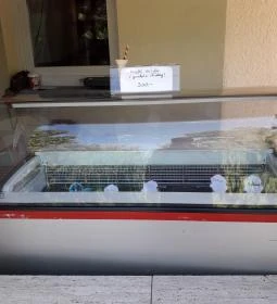 Duna Presszó Pub & Lounge