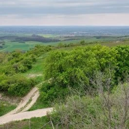 Dunaszentmiklósi kilátó Dunaszentmiklós - Külső kép