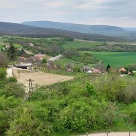 Dunaszentmiklósi kilátó Dunaszentmiklós - Külső kép