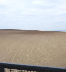 Dunaszentmiklósi kilátó