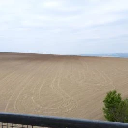 Dunaszentmiklósi kilátó Dunaszentmiklós - Külső kép