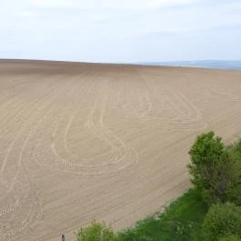 Dunaszentmiklósi kilátó Dunaszentmiklós - Külső kép