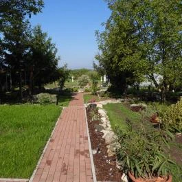 Dura Vendégház Paszab - Medence/kert