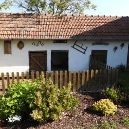 Dura Vendégház Paszab - Medence/kert