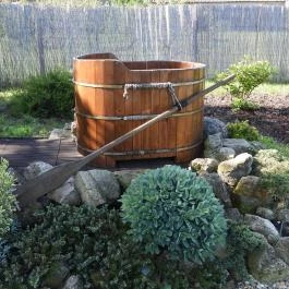 Dura Vendégház Paszab - Medence/kert