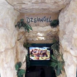 Dzsungel Kávézó & Étterem Budapest - Belső