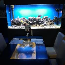 Dzsungel Kávézó & Étterem Budapest - Belső