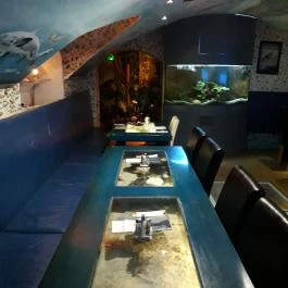 Dzsungel Kávézó & Étterem Budapest - Belső