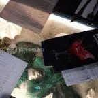 Dzsungel Kávézó & Étterem Budapest - Egyéb