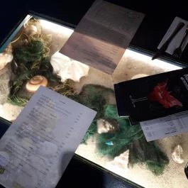 Dzsungel Kávézó & Étterem Budapest - Egyéb