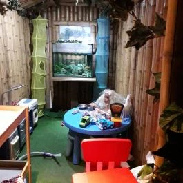 Dzsungel Kávézó & Étterem Budapest - Belső