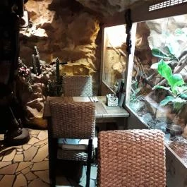 Dzsungel Kávézó & Étterem Budapest - Belső