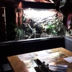 Dzsungel Kávézó & Étterem Budapest - Belső