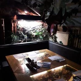 Dzsungel Kávézó & Étterem Budapest - Belső