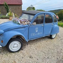 Eau de Tihany Tihany - Egyéb