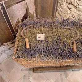 Eau de Tihany Tihany - Egyéb