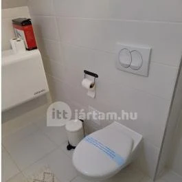 Ébredj a tanyán Zsindelyes Érpatak - Fürdőszoba