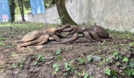 Eco Art Galéria és Bolt, Gödöllő